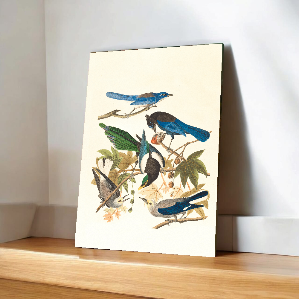 Botanical Bird Illustration