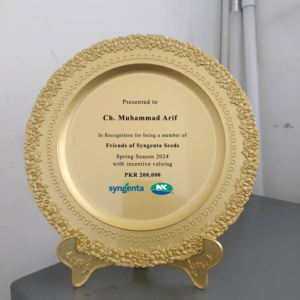Golden Filigree Excellence Plate