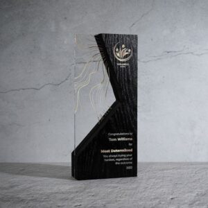 Obsidian Glass Fusion Award