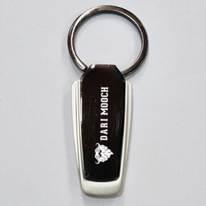 Premium Metal & Leather Keychain