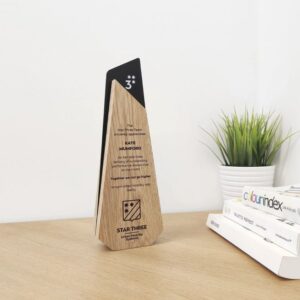 Tri-Tone Geometric Wood Trophy